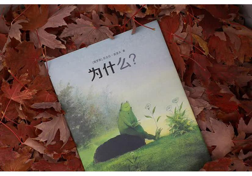 Почему: Книга без слов для социально-эмоционального развития