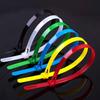 100pcs Plastic Reusable Cable Ties 5*200mm Releasable Nylon Loose Slipknot Recycle Detachable Bundle Ties
