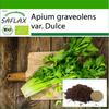 Органический - Сельдерей Паскаль - 500 семян - С горшечным субстратом для лучшего выращивания - Apium Graeolens