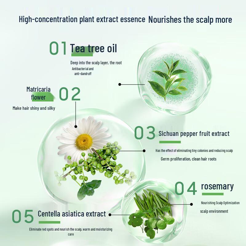 Cailiao Tea Tree Oil Anti-Dandruff & Oil Control Shampoo