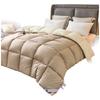 Poshime Luxury Hotel Down-Alternative Winter Comforter