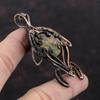 Кулон из фруктовой яшмы, медная проволока, кулон, ювелирные изделия из фруктовой яшмы, кулон в виде черепахи, кулон ручной работы, драгоценный камень, медные украшения, подарок для мамы