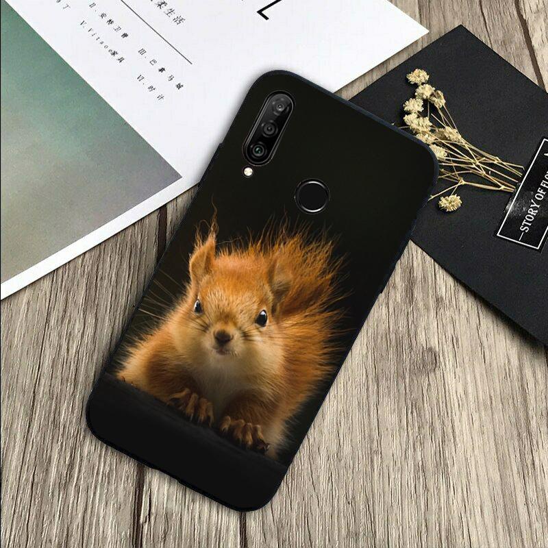 Squirrel Cute Animals For Huawei Nova 5T 9 10 SE 7i 8i 11i 12i Y73 Y90 Y70 Y72 Y61 Y91 P60 Pro P40 P30 Lite Case