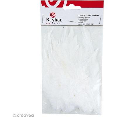 Модные перья - Белые - 2 г Rayher Fashion Feathers : Иметь значение : Синтетические перья Цвета : Белая высота : от 10 до 15 см