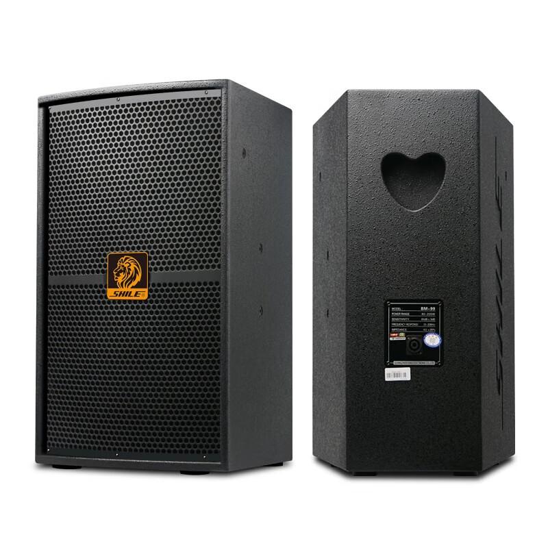 SHILE Professional 12-inch Audio System Set