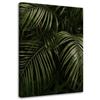 Canvas Print, Green Palm Leaves