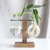 Hydroponic Plant Glass Container Simple And Creative Transparent Vase Wood Frame Design Home Living Room Desktop Decoration