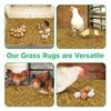 6PCS Chicken Nest Pads Chicken Nest Pads Coconut Brown PadsPoultry Pet Nests Easy to Clean Hen Nest Pads Pet Supplies