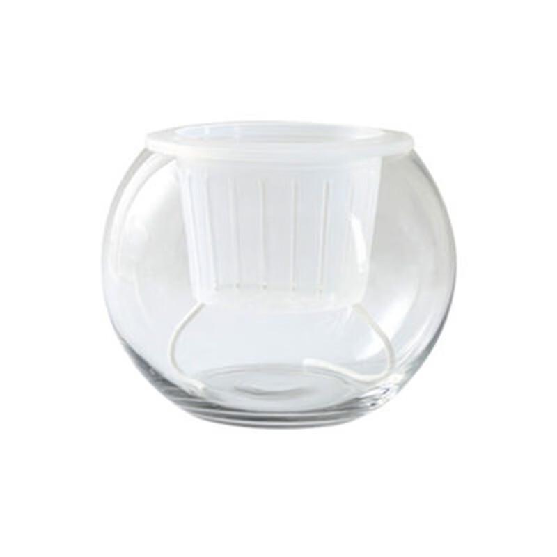 Self-Watering Round Hydroponic Vase