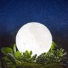 TOOGE Moonlight — стильный и популярный непрямой светильник с 3D-эффектом и плавной регулировкой яркости, идеально подходящий для дня рождения [4-го поколения], для женщин.. напечатано, зарядка,