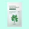 Pantothenic Water Parsley Mask 24ml 1 Sheet