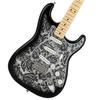 /Made In Japan Limited Stratocaster Maple Fingerboard Black Paisley [Limited Edition]