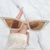 Special-Shaped Cat-Eye Fashion Sunglasses Niche Hip-Hop Trendy Sunglasses With Dimond For Women 2154