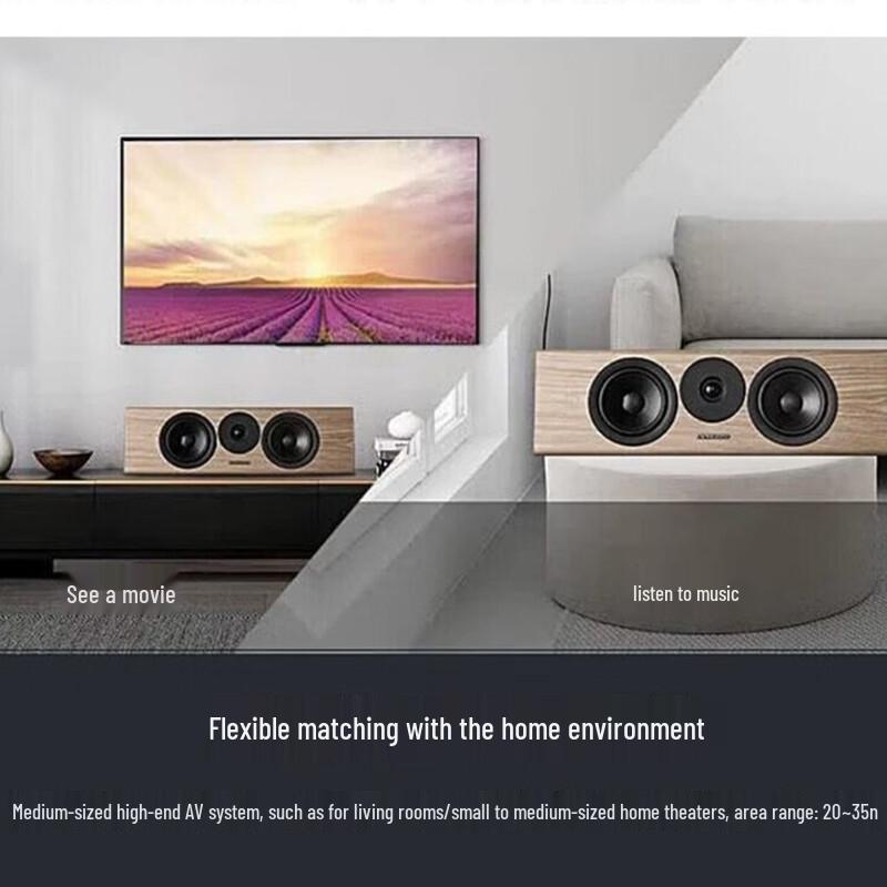Dynaudio Evoke 25 Passive Center Channel Speaker (CN version)
