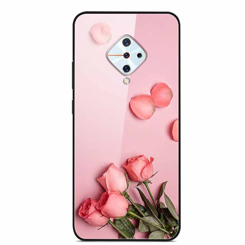 Tempered Glass Case For Vivo V17 Case Russia Glass Back Cover Soft Bumper For Vivo V17 Phone Cases V 17 Funda Y9s S1 Pro Coque