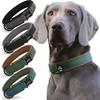 No Pull Pets Collar for Medium Large Dogs Elastic Webbing Dog Safety Buckle Chain  Training