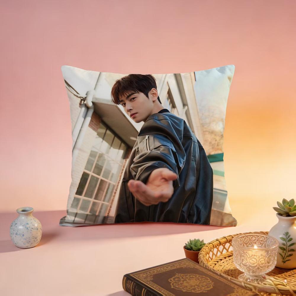 Hot CCha Eun Wooable Cushion Cover Premium SkinFriendly Pillow Case MultiPurpose for Home Office Travel