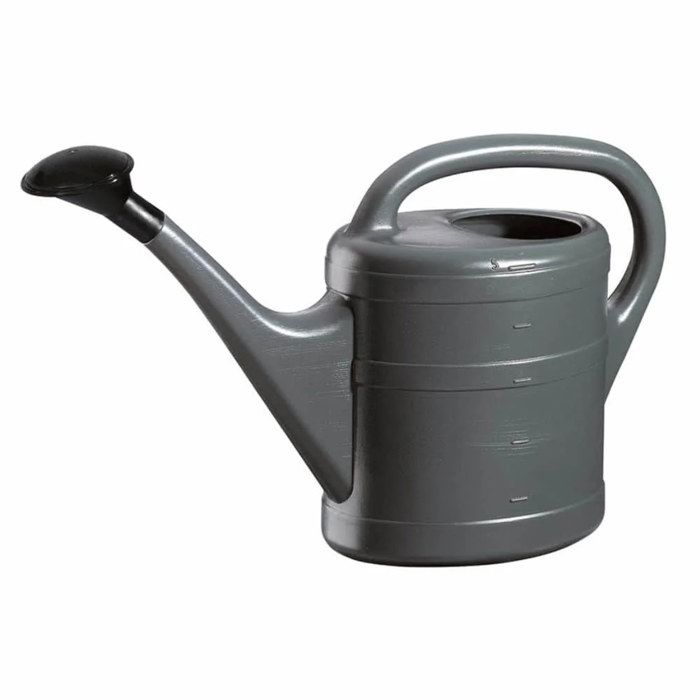 Arrosoir de Jardin 5L Anthracite avec Pomme d'Arrosage Amovible