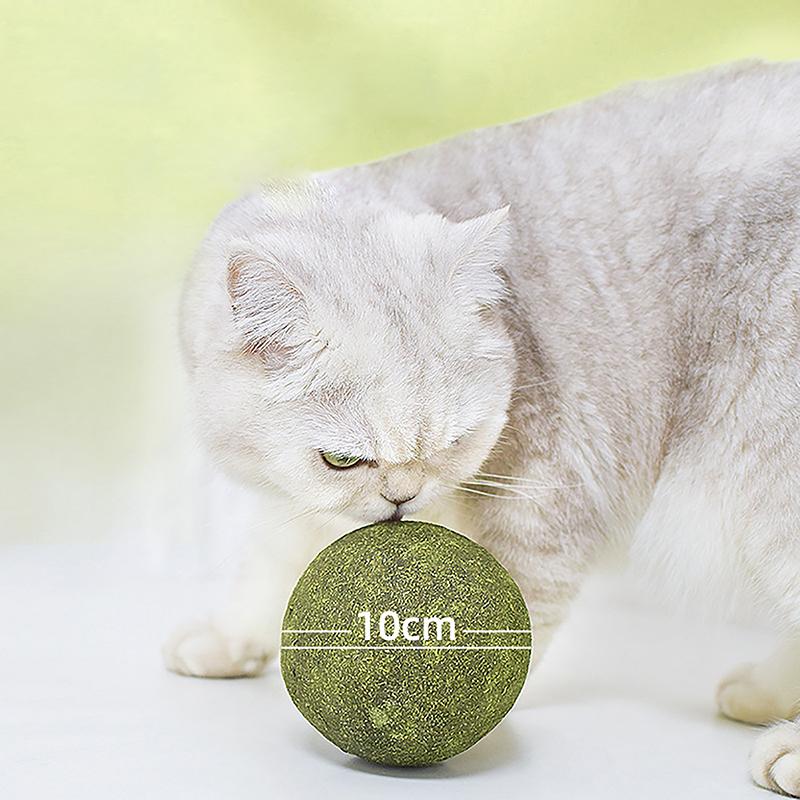 Super Large Catnip Ball 10Cm Cat Grass Self-Hi Relieving Stuffy Insect Gall Fruit Giant Pet Bite Molar  Pet Cat Toy