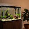 Simulation Shrimp Hiding Cave Tree Trunk Shape Fish Breeding Cave  Fish Tank Landscaping