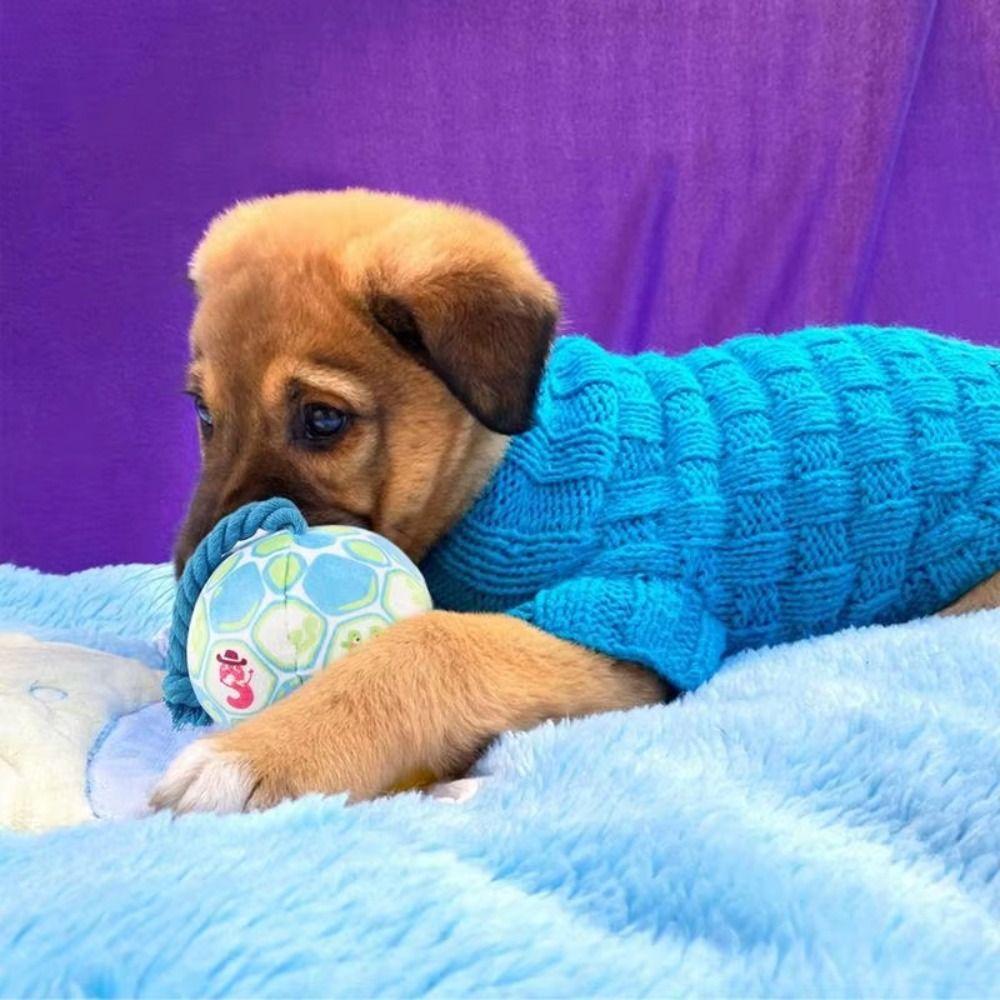 С Веревочным Узлом Игрушка для Собаки Мяч Интерактивный Колокольчик Собачий Диск Мяч Питомец Плюшевая Звуковая Игрушка Решает Скуку