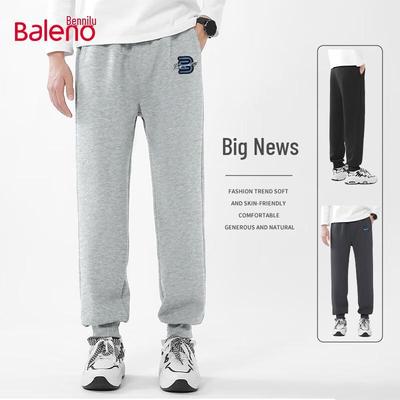 Мужские зауженные спортивные штаны Baleno свободного кроя