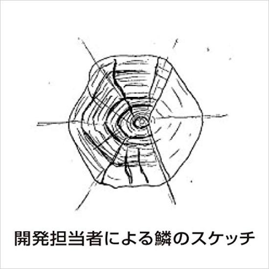 Shimano Ocea Special Order Hiramasa 220F 008 Kyorin Orange Lure OT-022L