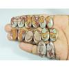Natural Noreena Jasper Matched pair Oval Cabochon Loose Gemstone 07Pair Lot C-3402