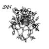 Lapel Pin Distressed Style Brooch Pin, Punk Retro Thorns Skull Design with Enamel Rhinestones Inlaid, Vines Surrounding Versatile Badge for