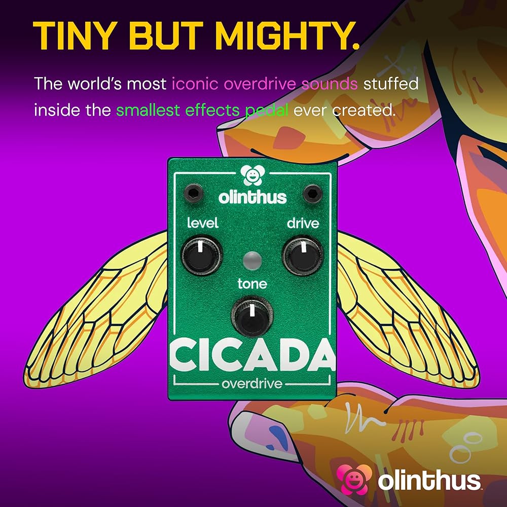 Olinthus Cicada Overdrive Effects Pedal [Includes Input and Output Breakout Cables] [Official Japanese Product]