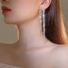 Niche Design Shiny Crystal Long Tassel Earrings Fashion Temperament Women's Earrings