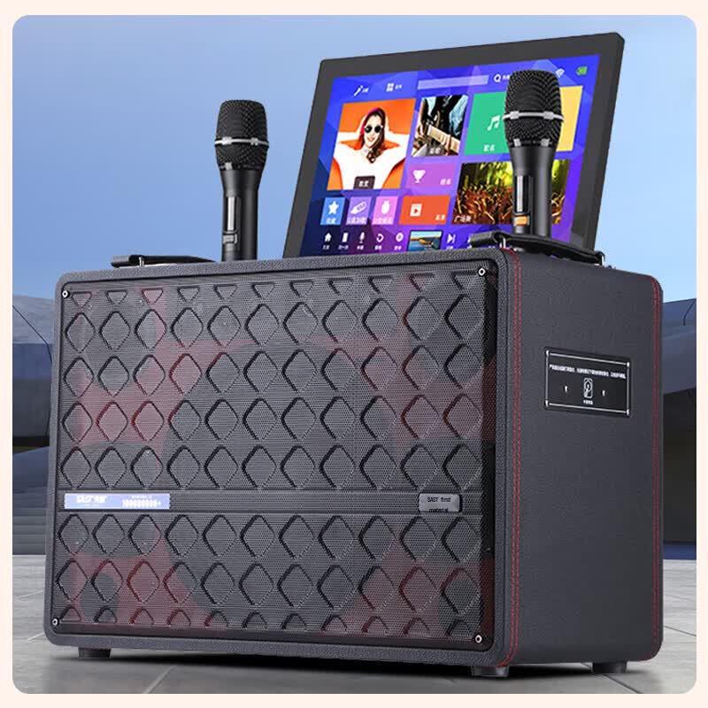 SAST SW-870 Portable KTV Speaker System (CN version)