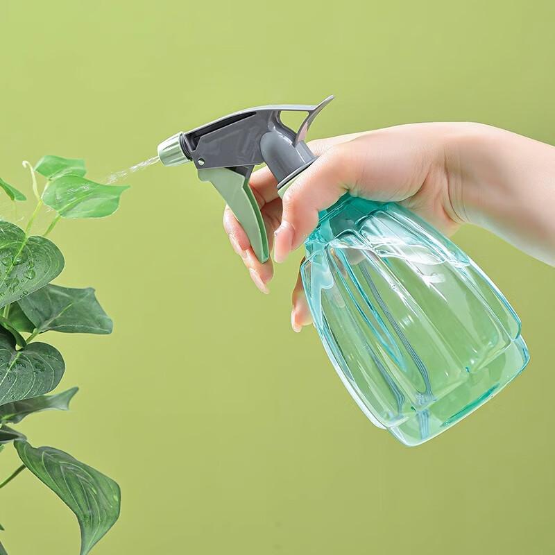 Handheld Spray Bottle