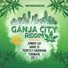 LP Record VARIOUS - Ganja City Riddim BDV19040 Tomawok EU 2019 Европа Регги, Ска и Даб
