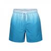 RIPT Essentials Mens Dip Dye Swim Shorts