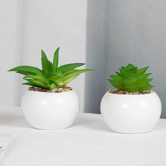 Поддельные растения, мини-реалистичные, широкое применение, высокое качество, натуральные яркие мульти-стильные искусственные суккуленты, бонсай для гостиной