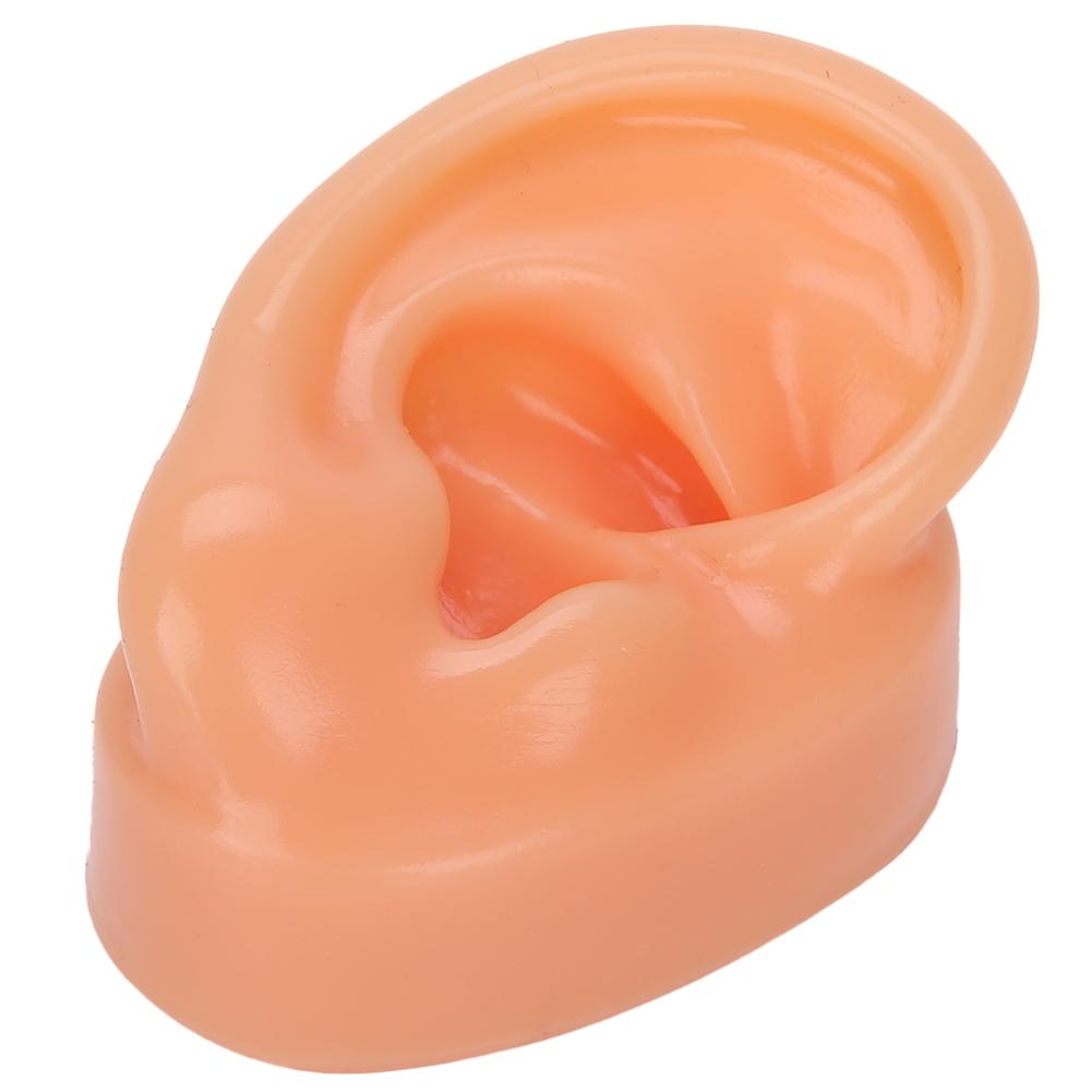 Силиконовая модель правого уха, имитация искусственного уха, дисплейная модель для слуховых аппаратов