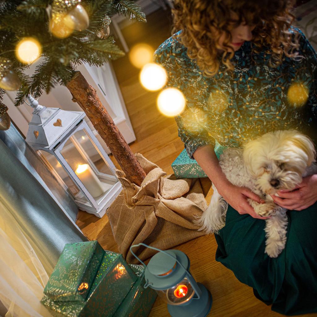 KADAX Artificial Christmas Tree On a Trunk 220 Cm Natural Spruce