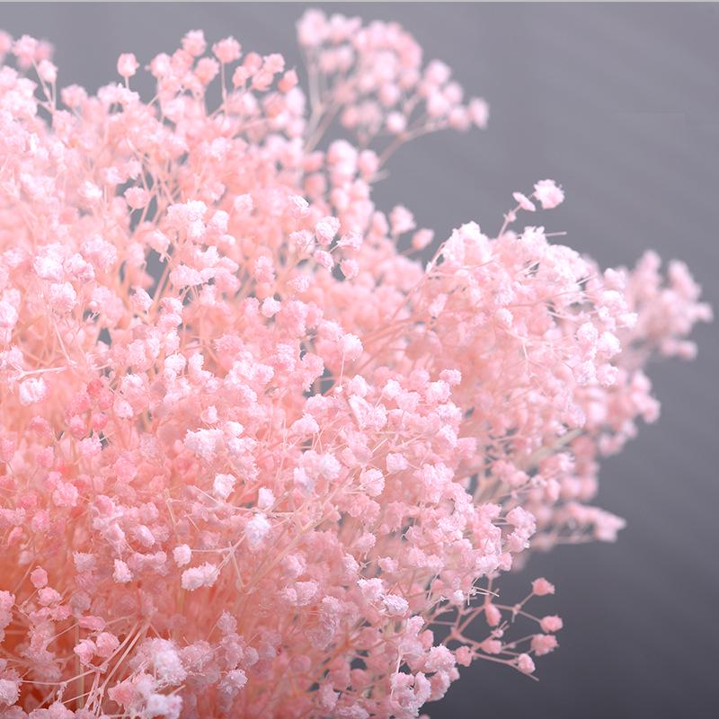 Preserved Gypsophila Dreamy Star Bouquet - Dried Flower Arrangement for Home Decor and Valentine's Day Gift
