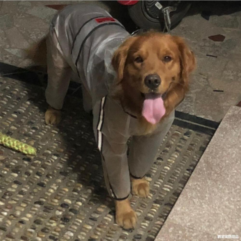 Собачий плащ одежда четвероногий водонепроницаемый всеохватывающий золотистый ретривер собака сиба питомец большая собака маленькая средняя и большая собака одежда пончо