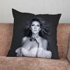 Наволочка Singer C-Celine D-Dion Для Дома Спальни Машины Офиса Декора Гостиной Подушки Дивана Подходящая