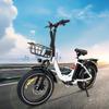 DZ2030 E-Bike 800W Motor 48V16AH Removable Battery Food Delivery Electric Bicycle 20*4.0 Fat Tire Adult Delivery Electric Bike