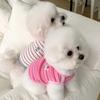 Летний тонкий жилет для домашних животных, бишон, медведь, пометид, кошка, маленький щенок, шнауцер, одежда для собак, лето