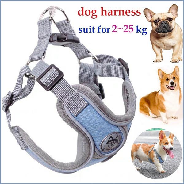 Дышащая шлейка для собак с поводком Светоотражающая оксфордская шлейка для собак Регулируемый размер Маленькие средние собаки