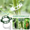100pcs Plastic Clips Garden Climbing Vine Hanging Clips Vine Clips Tomato Large Plant Fixing Clips Gardening Supplies