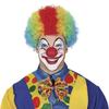 Fiestas Guirca Curly Clown Wig