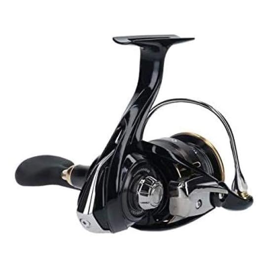DAIWA Spinning Reel 19 Ballistic LT3000 (2019 Model)
