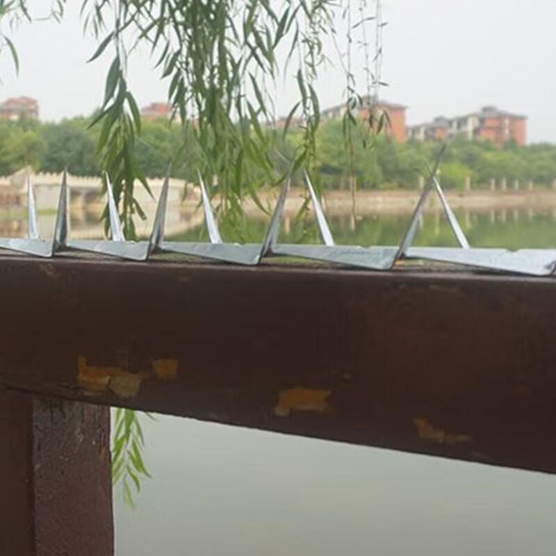 Shurong 304 Stainless Steel Wall Anti-climb Safety Spikes