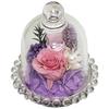 Q-FLA Preserved Flower Arrangement In a Dry Dome, Purple, Mother's Day Gift, 785634