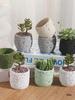 Nordic Cement Flower Pot - Creative Volcanic Rock Design, Breathable Indoor Succulent and Green Plant Planter.